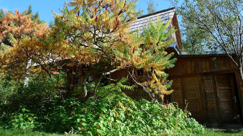 Woodenhouse Maramures Viseu de Sus Luaran gambar