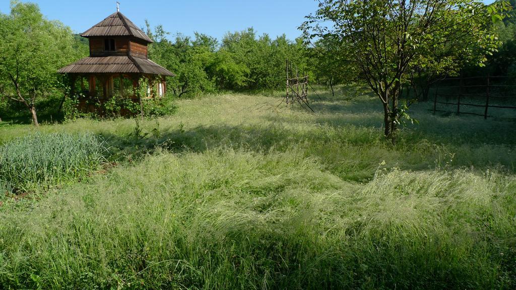 Woodenhouse Maramures Viseu de Sus Luaran gambar